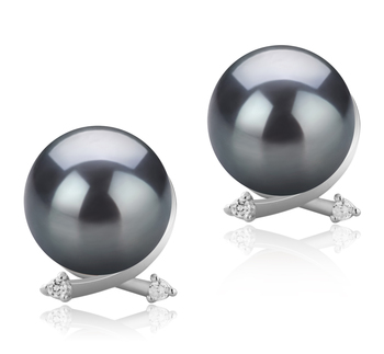 Paar Ohrringe mit schwarzen, 10-11mm großen Tihitianischen Perlen in AAA-Qualität , Berry