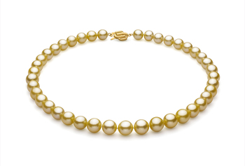 Halskette mit goldfarbenen, 9-11.7mm großen Südseeperlen in AAA-Qualität