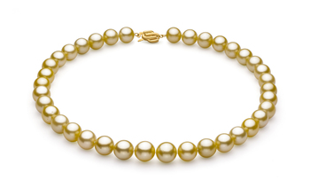 Halskette mit goldfarbenen, 10.89-12.75mm großen Südseeperlen in AAA-Qualität