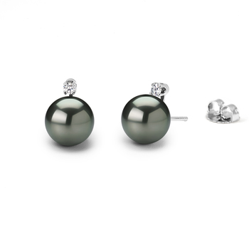7.5-8mm AAAA-Qualität Süßwasser Paar Ohrringe in Schwarz 7.5-8mm AAAA-Qualität Süßwasser Paar Ohrringe in Schwarz
