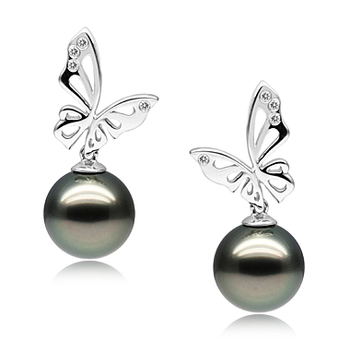 Paar Ohrringe mit schwarzen, 10-11mm großen Tihitianischen Perlen in AAA-Qualität , Schwarze Perle und Schmetterling