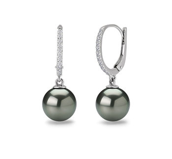 Paar Ohrringe mit schwarzen, 10-11mm großen Tihitianischen Perlen in AAA-Qualität , Victoria