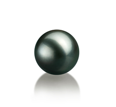 Einzelstück mit schwarzen, 10-10.5mm großen Tihitianischen Perlen in AAA-Qualität