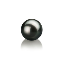 Einzelstück mit schwarzen, 8-9mm großen Janischen Akoya Perlen in AA-Qualität