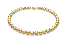 Halskette mit goldfarbenen, 9.04-11.83mm großen Südseeperlen in AAA-Qualität