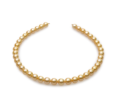 Halskette mit goldfarbenen, 9-11.4mm großen Südseeperlen in AA-Qualität , 18-Zoll