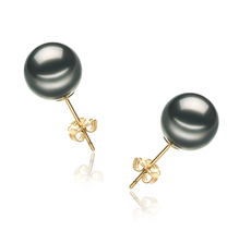 Paar Ohrringe mit schwarzen, 9-10mm großen Tihitianischen Perlen in AA-Qualität