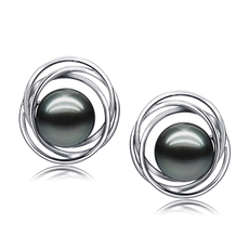 Paar Ohrringe mit schwarzen, 9-10mm großen Tihitianischen Perlen in AAA-Qualität , Triple Circle Stud