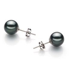 Paar Ohrringe mit schwarzen, 8-9mm großen Tihitianischen Perlen in AAA-Qualität , Yannie