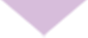 last_section_pointer